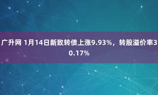 广升网 1月14日新致转债上涨9.93%，转股溢价率30.17%