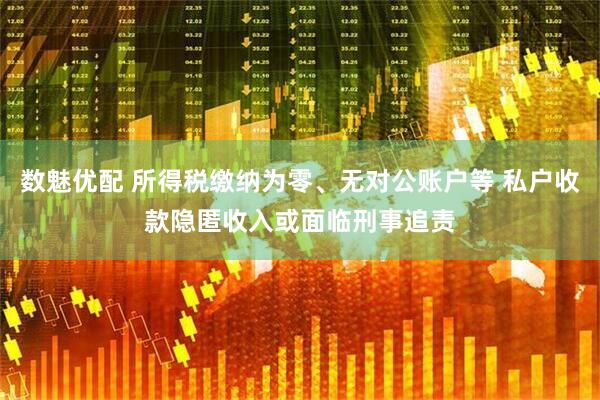 数魅优配 所得税缴纳为零、无对公账户等 私户收款隐匿收入或面临刑事追责